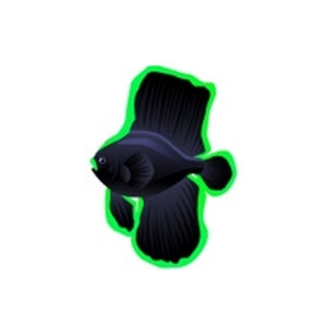 Green Batfish